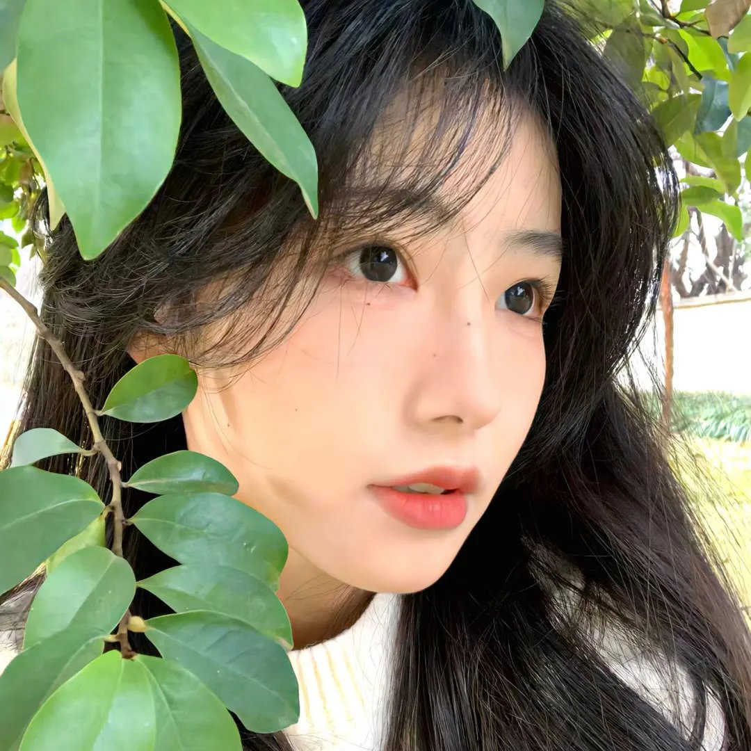 起锚
